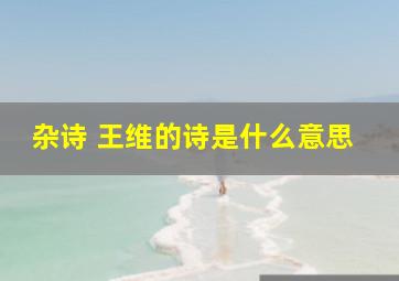 杂诗 王维的诗是什么意思